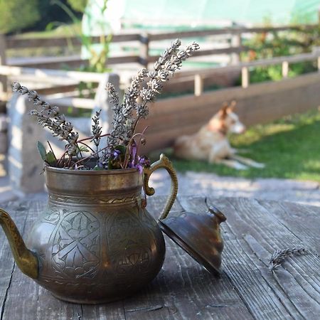 Agriturismo Athabaska San Lorenzo Dorsino Zewnętrze zdjęcie