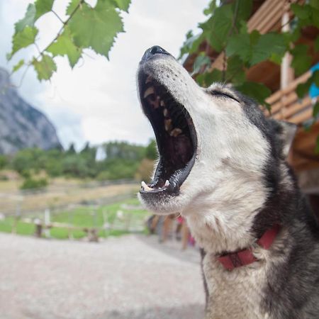 Agriturismo Athabaska San Lorenzo Dorsino Zewnętrze zdjęcie