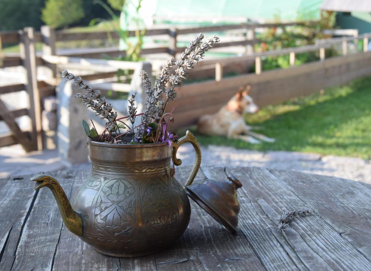 Agriturismo Athabaska San Lorenzo Dorsino Zewnętrze zdjęcie