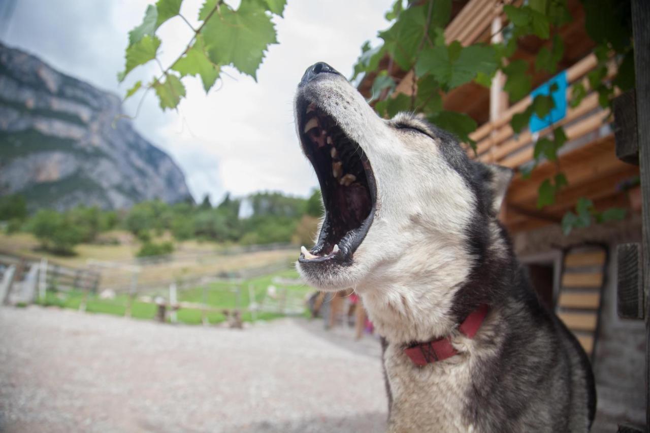Agriturismo Athabaska San Lorenzo Dorsino Zewnętrze zdjęcie